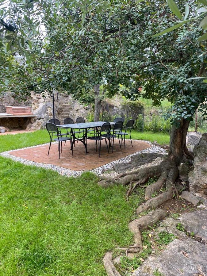 Villa Paolina Ceriale - App. 4 Posti Buitenkant foto