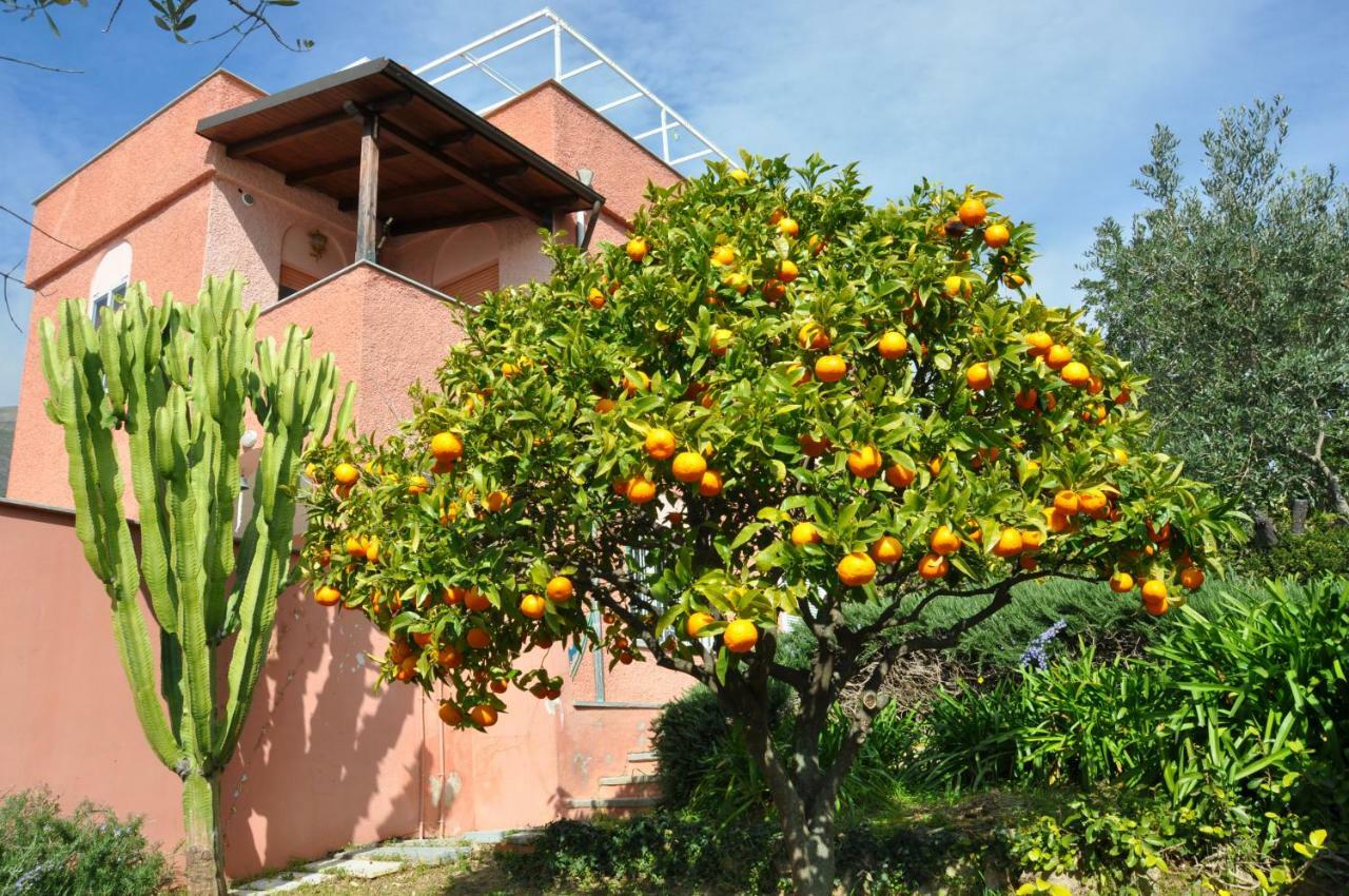 Villa Paolina Ceriale - App. 4 Posti Buitenkant foto